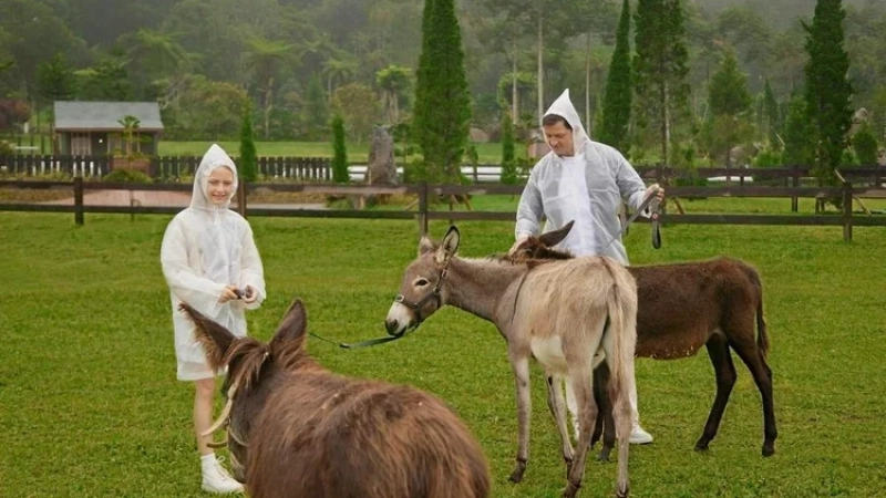 balifarmhouseticket